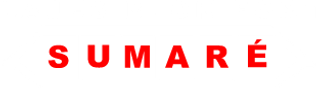 Blokfort Logo